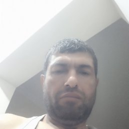 , 53 , 