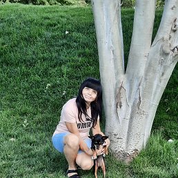 �����, ���������, 40 ���