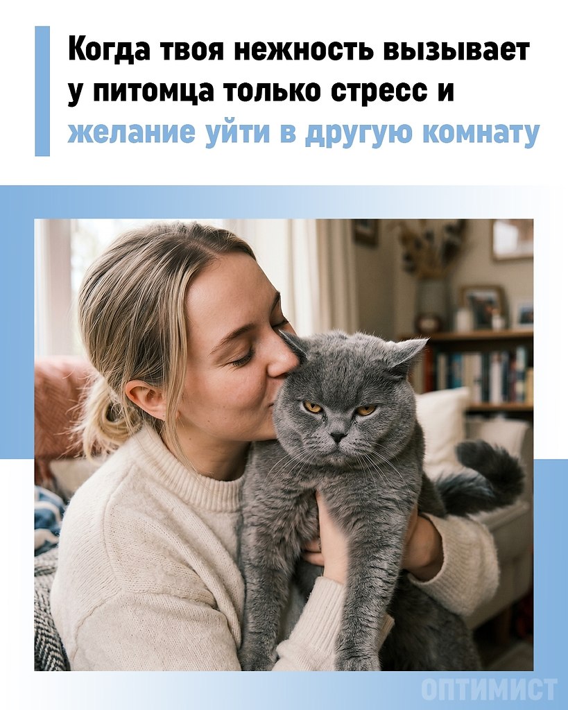 ���������, ����������� ����� �� �����, ����� �� ������. ������� ��������� � ���������� ������ ...