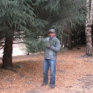 , 38 , 
