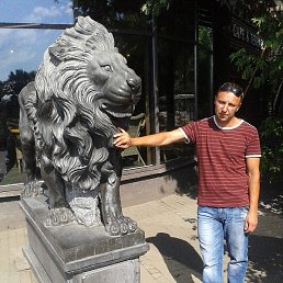 �����, ������, 42 ����