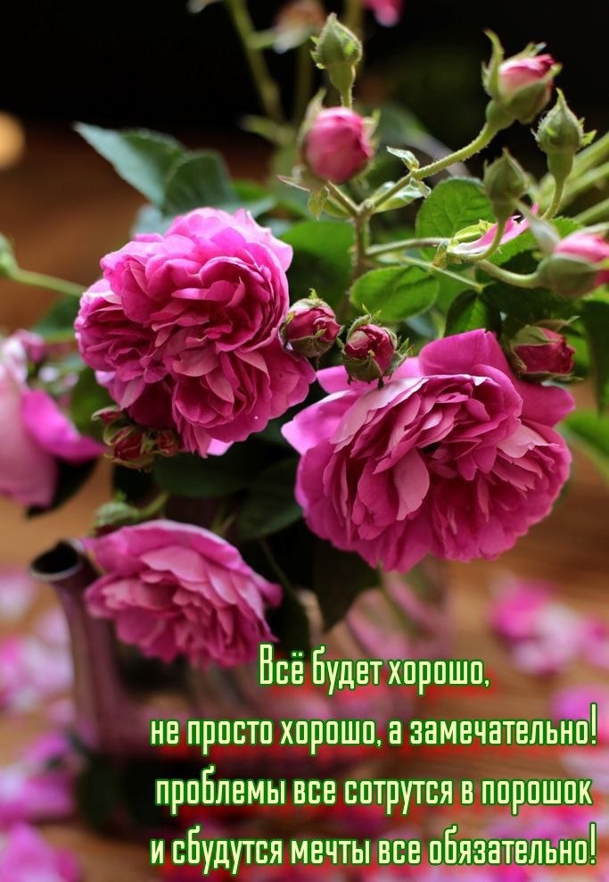      ""...     ...  ....