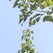 , 25 , 