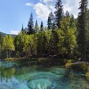 ���� &&& ����, �����������, 41 ��� - ��������� 18 ������� 2023 � ������ ���� ����������