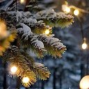  Sergei,   -  4  2025    