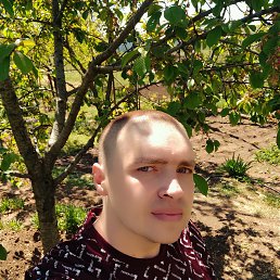 , 34, 
