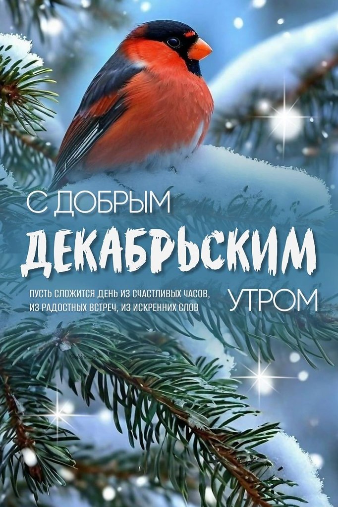 ������������ �� �������... - 26 ������� 2025 � 00:36