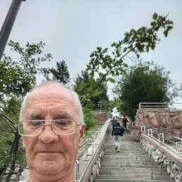 , 63, 