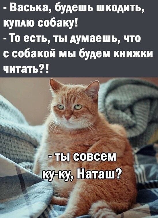   - 24  2025  23:29