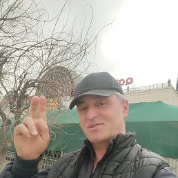 , 52, 