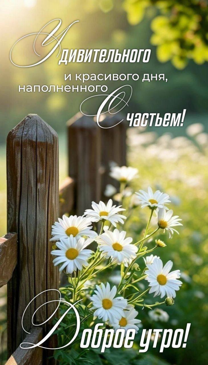   - 27  2025  13:25