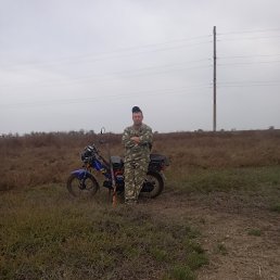 , 38, 