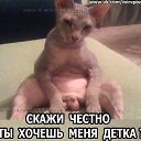 ���� Honor, �����-���������, 57 ��� - ��������� 2 ������� 2025 � ������ ������ ��������