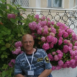 , 53 , 