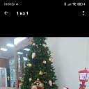 ���� ������ ��������, �������, 57 ��� - ��������� 9 ������� 2025 � ������ ���� ����������