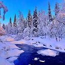 ���� ����, �����-���������, 40 ��� - ��������� 1 ����� 2024 � ������ ������ ��������