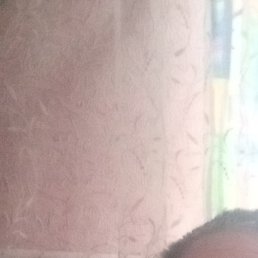 ������, ������, 35 ���