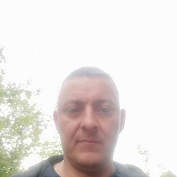 , 41, 