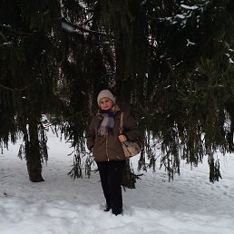 �������, ��������, 62 ����