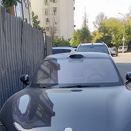 Maksim, �������, 45 ���