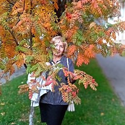 ���, ��������