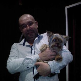 �����, ������������, 41 ���