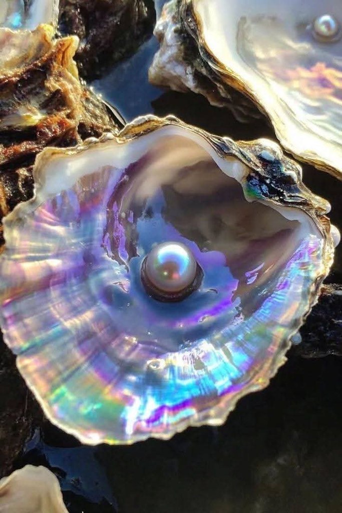 :)    .  -    ,     ...