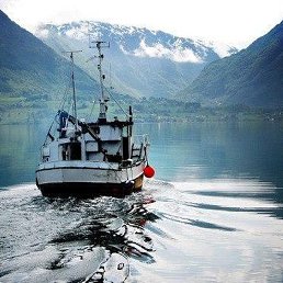 �������, �����