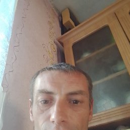 , 37, 