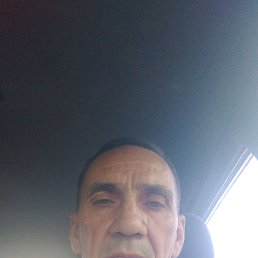 , 53 , 