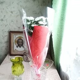 ��������, �����, 40 ���