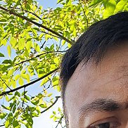 , 31 , 