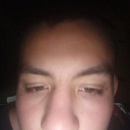 �����, 18 ���, ������