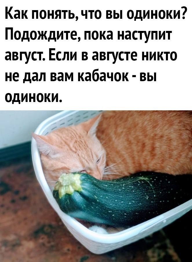    - 22  2024  14:25