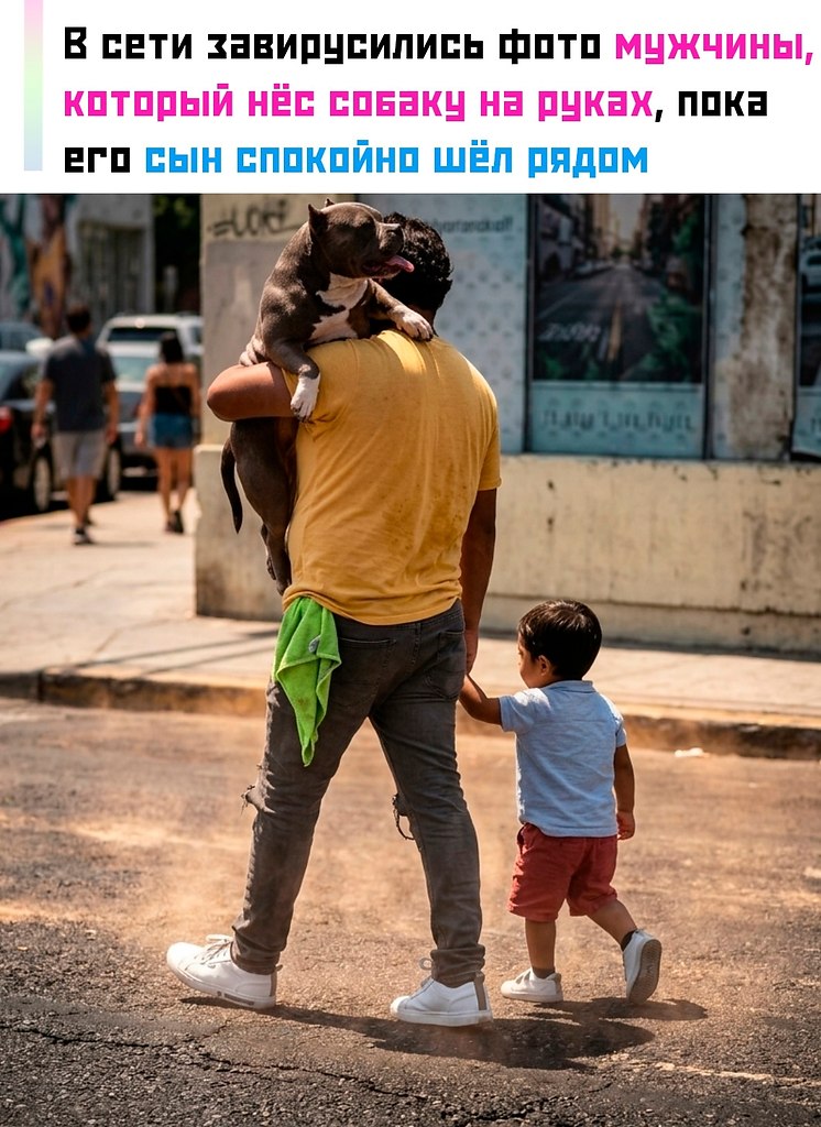 ������������ ������ ������ �������� ���� � �������� ��������� � ������ � �������, ���� �� ����� ...