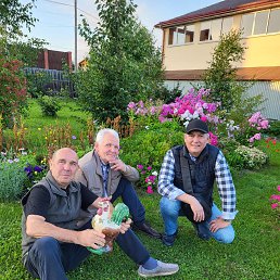 �����, 57 ���, ������