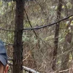 ����, �����, 43 ����