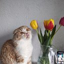 ���� ��i, ����� - ��������� 13 ������ 2025 � ������ ������ ��������