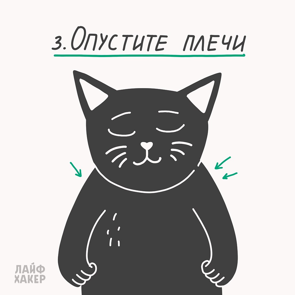    . - 4
