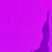 ������, 44 ����, �������