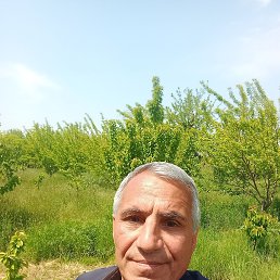 , 49, 