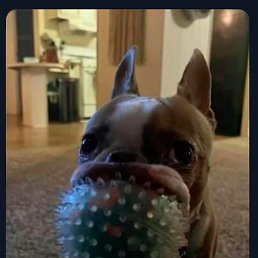 ������, ������, 21 ���