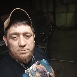 , 37, 
