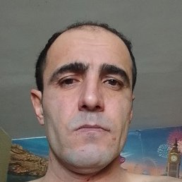 ������, ���, 84 ����