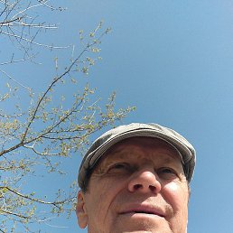 ��������, ���������, 66 ���