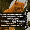 ���� �������, ����-������ - ��������� 16 ������ 2025 � ������ ���� ����������