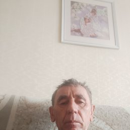 , 56 , 