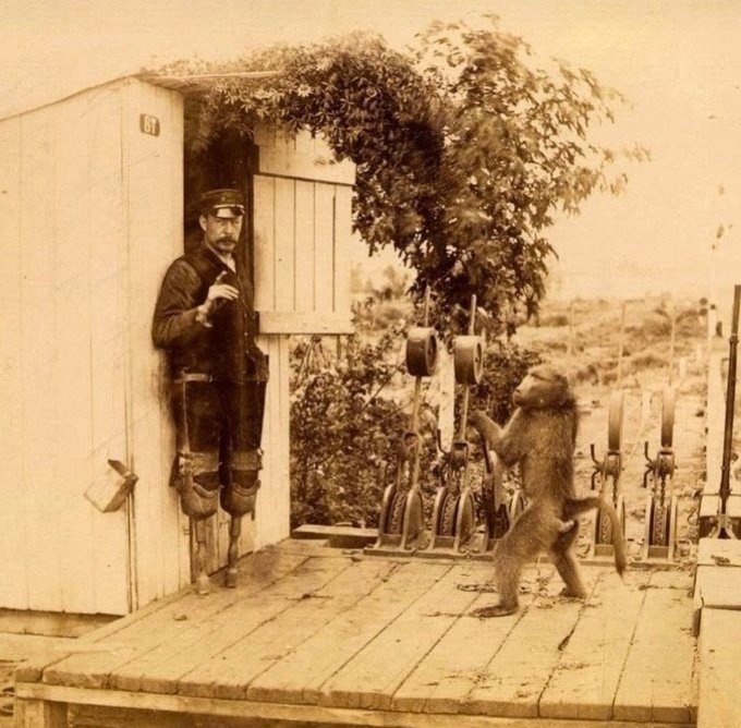 В конце 1800-х годов потерявший обе ноги железнодорожный cигнальщик из Южной Африки Джеймс Уайд, ...