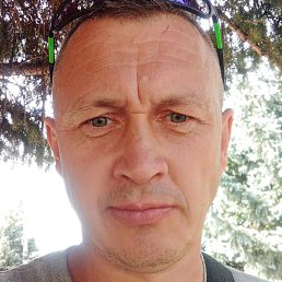 ���������, ���������, 46 ���