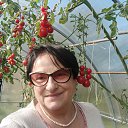 ���� Tamara, �����, 63 ���� - ��������� 25 ���� 2026